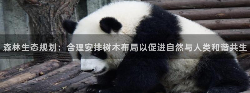 新宝gg怎样:森林生态规划:合理安排树木布局以促进自然与人类和谐共生