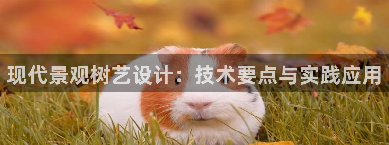 新宝gg登录登:现代景观树艺设计:技术要点与实践应用