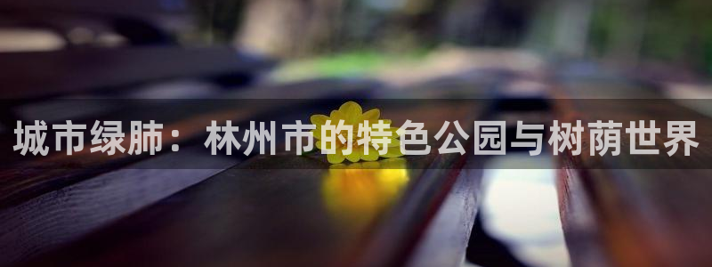 新宝gg 198:城市绿肺:林州市的特色公园与树荫世界